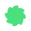 macamedia